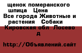щенок померанского  шпица › Цена ­ 50 000 - Все города Животные и растения » Собаки   . Кировская обл.,Лосево д.